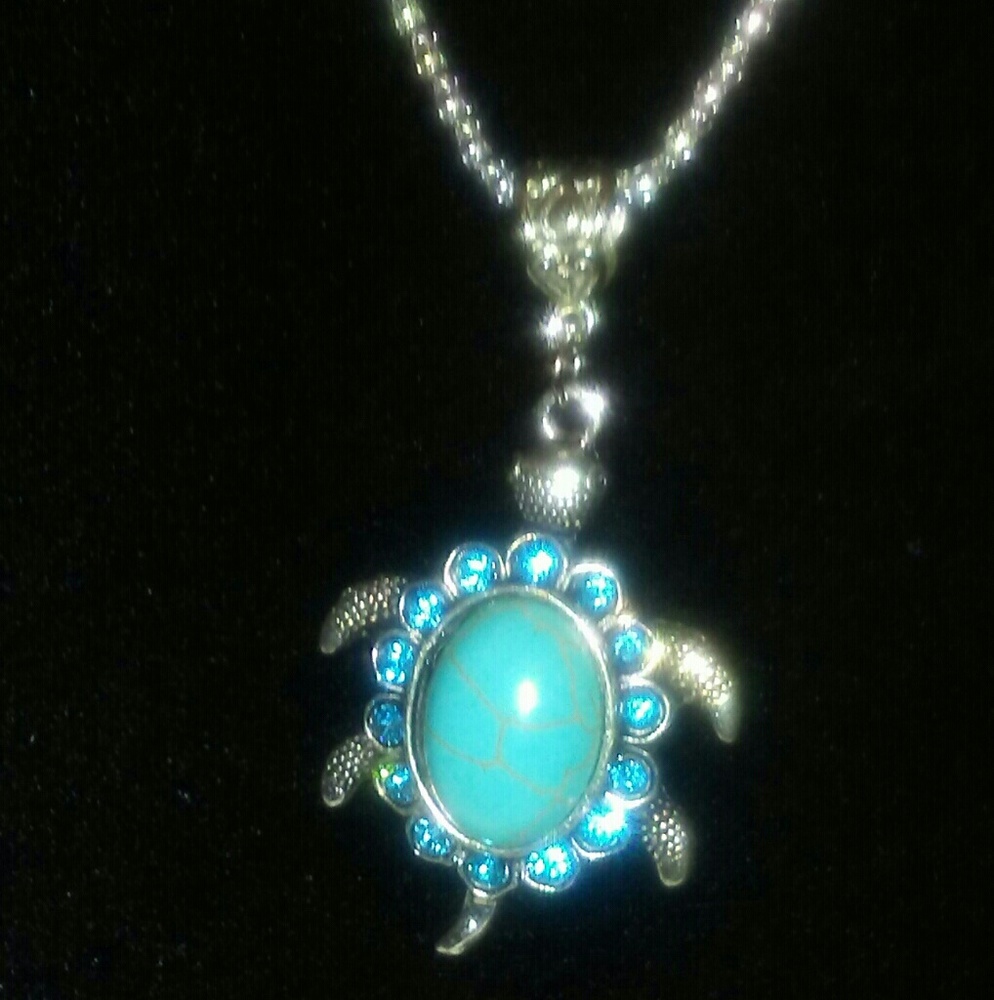 Turtles Jewelry